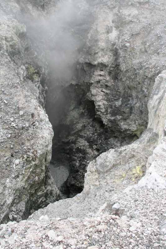 Nieuw-Zeeland 2011 - 0787
